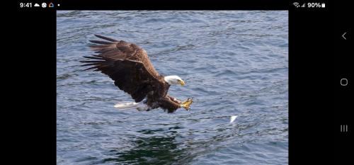 Baddeck Cama Y Desayuno | Bryson's Bed and Breakfast