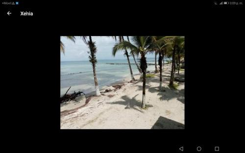 Carenero Island Complejo | Buccaneer Resort