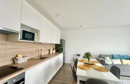 Bekasmegyer Apartamento | BudaBright 192 II FreeParking