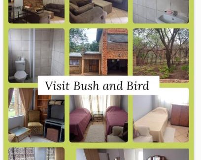 Tshwane Casa | Bufflesdrift Bush and Birding