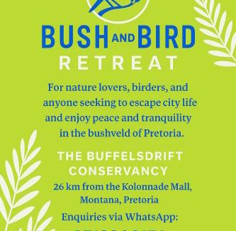 Tshwane Casa | Bufflesdrift Bush and Birding