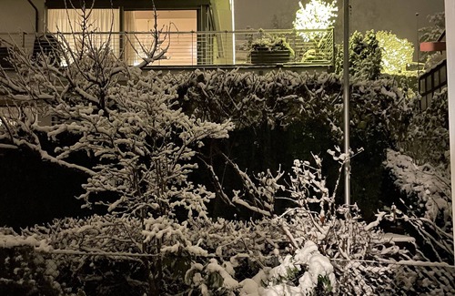 Old Town Casa | Buissnis Suite