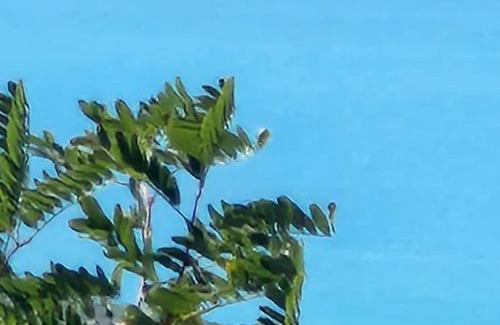 Kryevidh Hotel | Bujtina Ismet Gjeli