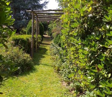 La Sauniere Otro | Bulle sous les étoiles