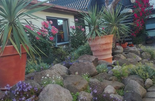Dierkow-West Apartamento | Bungalow - Holiday bungalow 1