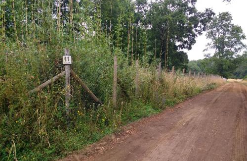 Villarrica Casa | Bungalow Playa Linda I