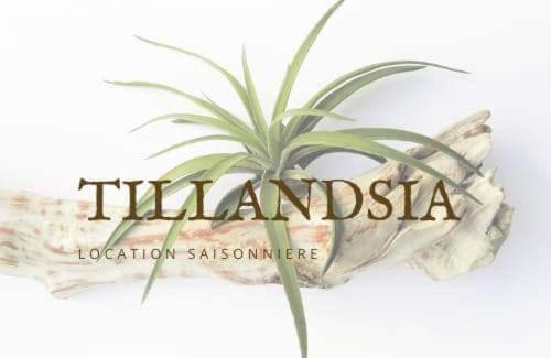 La Plaine des Cafres Chalet De Esquí | Bungalow Tillandsia