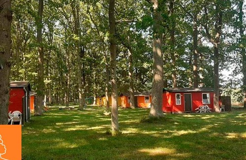 Bakenberg Apartamento | Bungalowdorf Wald & Sand - Category 1 No. 12 - Ferienpark Bakenberg