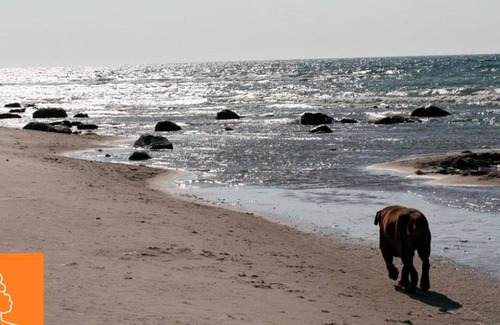 Bakenberg Apartamento | Bungalowdorf Wald & Sand - Category 1 No. 12 - Ferienpark Bakenberg