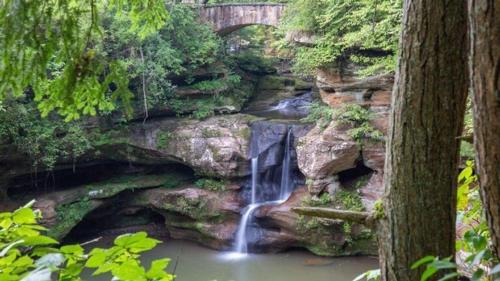 South Bloomingville Casa | Burton Ridge Cabin