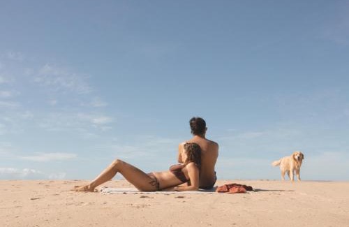 Oceania del Polonio Hotel | BUSCAVIDA, Close to Cabo Polonio Petit Hotel