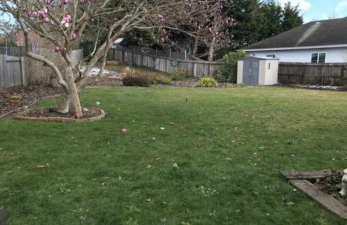 McKinleyville Casa | Butterfly Cove/5 minutes to Beaches and Redwoods