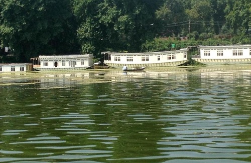 Brein Complejo | Butts Clermount Houseboat