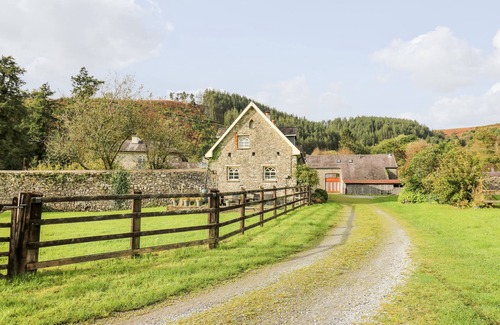 Llandeilo Cabaña | Buzzards Watch