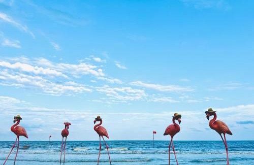 Hoang Hoa Hotel | Căn hộ condotel Ibiza Hải Tiến