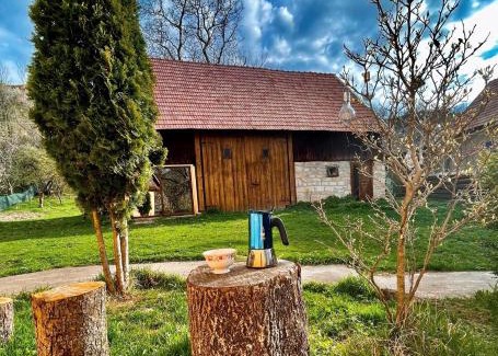 Manastireni Casa | Căsuța cu livadă