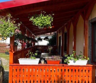 Campu lui Neag Casa | Căsuța din pădure de la Câmpu lui Neag