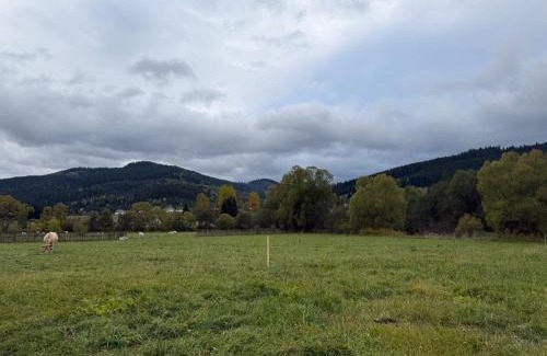 Carlibaba Chalet De Esquí | Căsuța Lizucăi