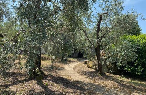 Soriano nel Cimino Casa | Ca' Fondi - Oasi Retreat