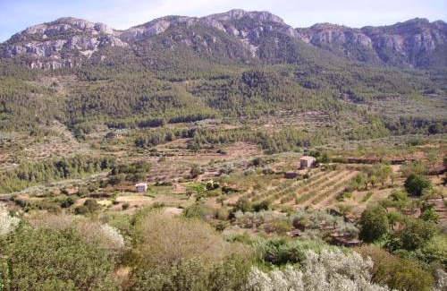 Pauls Casa | Ca les Barberes