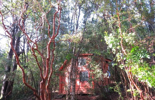 Pucon Cabina | Cabaña Arrayán