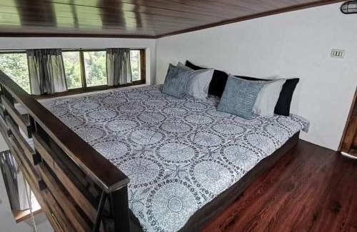 Agua Caliente Apartamento | Cabaña Bambú