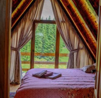 Zabljak Casa | Cabaña de la Montaña