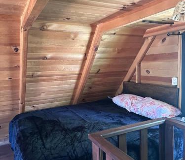 San Jose del Pacifico Chalet De Esquí | Cabaña en el bosque y cerca al río Starlink