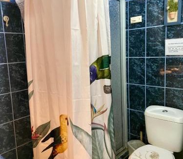 Pichidangui Casa | Cabaña en Pichidangui un Oasis de naturaleza y relajación