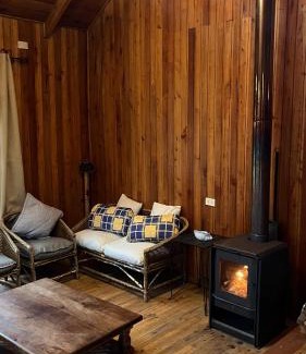 Pinto Apartamento | Cabaña en Villa Los Leones