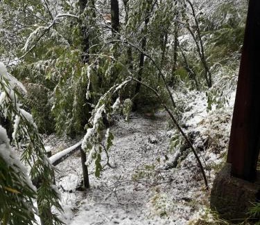 Pinto Apartamento | Cabaña en Villa Los Leones
