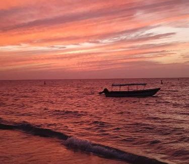 Bocachica Hotel | Cabaña Juanaleisa