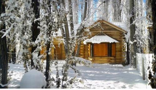 Uspallata Casa | Cabaña LA EMILIA Uspallata Mdz