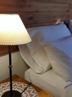 Dina Huapi Casa | Cabaña Los Alamos