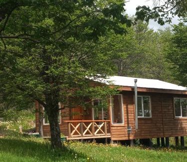 Coyhaique Chalet De Esquí | Cabaña Turismo EL SUSURRO