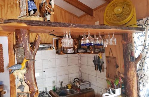 Neltume Chalet De Esquí | cabaña vista hermosa neltume