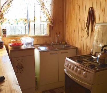 Bajos de Lircay Casa | Cabañas Alfa Colbun Machicura