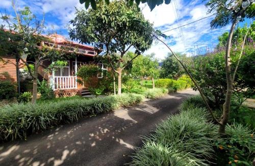 Santa María Apartamento | Cabañas Barú Dota