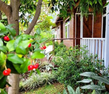Santa María Apartamento | Cabañas Barú Dota