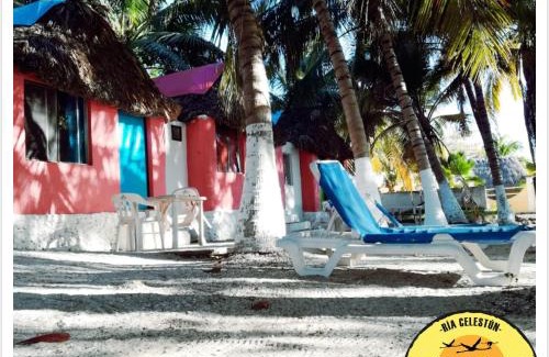Celestún Hotel | Cabañas Camping Ria Celestun