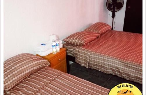 Celestún Hotel | Cabañas Camping Ria Celestun