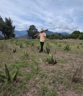 Zacatlán Chalet De Esquí | Cabañas la Peña del Zopilote