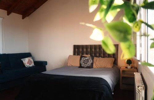 Macrozona Bahía Redonda y Primeros Faldeos Apartamento | Cabañas Las margaritas