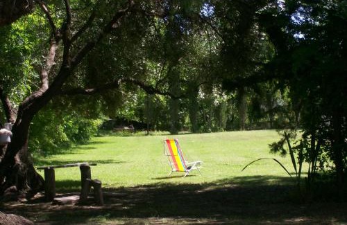 Rama Caída Cabina | Cabañas Lau Pau