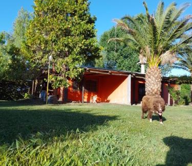 Rama Caída Casa | Cabañas Nono Mario