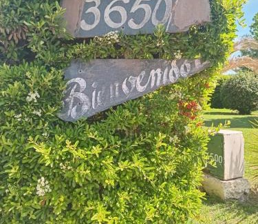 Rama Caída Casa | Cabañas Nono Mario