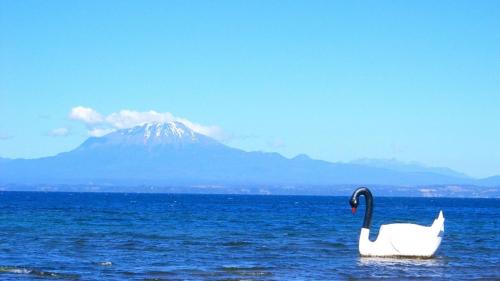 Llanquihue Apartamento | Cabañas Volcanes del Sur,