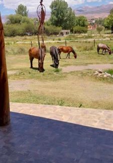 Humahuaca Casa | Cabañitas EL REPOSO HUMAHUACA