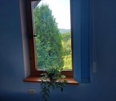 Banita Apartamento | Cabană cu teren de tenis - etaj