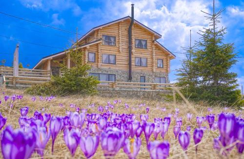 Novaci Casa | Cabana Alaska